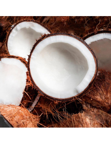 Coco Bio antibacteriano en el dentífrico Frescor suave de NaturaBIO Cosmetics disponible en Naturcosmetika.