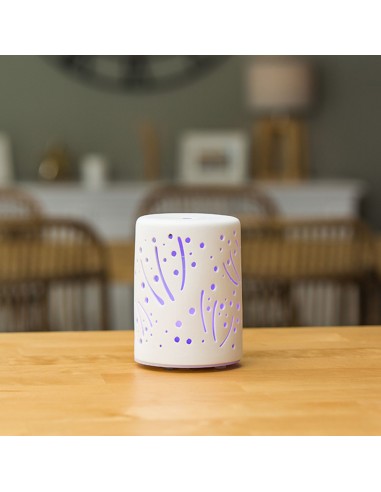 DIFUSOR ANTARES ACEITES ESENCIALES