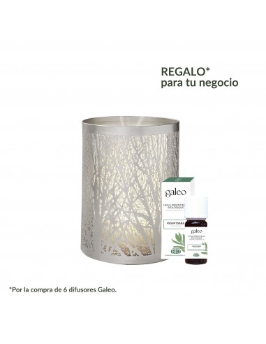 DIFUSOR SYRMA ACEITES ESENCIALES