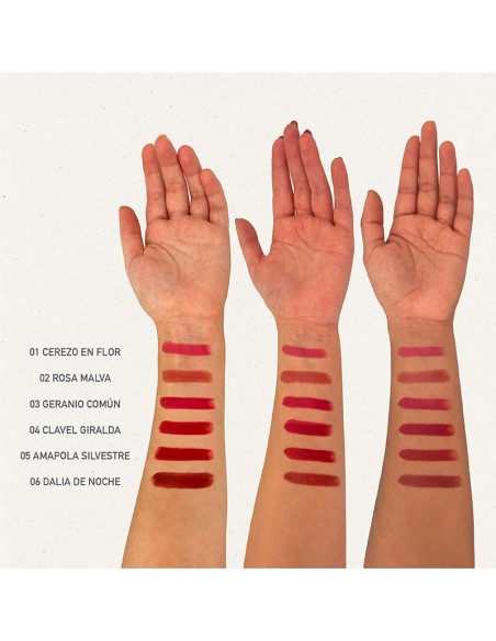 PINTALABIOS 04 CLAVEL GIRALDA