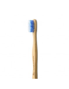 CEPILLO DE DIENTES PRO... 2