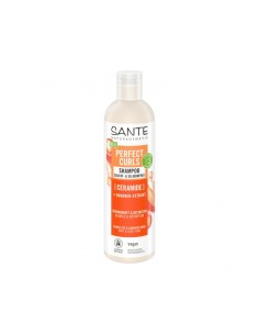 CHAMPU RIZOS PERFECTOS 250 ml SANTE
