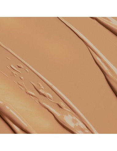 BB CREAM PERFECCIONADORA 5en1 SPF 10...