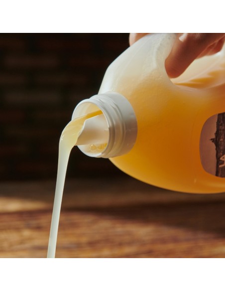 DETERGENTE LIQUIDO JABON MARSELLA