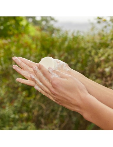 CHAMPU SOLIDO EQUILIBRA Y REFRESCA...