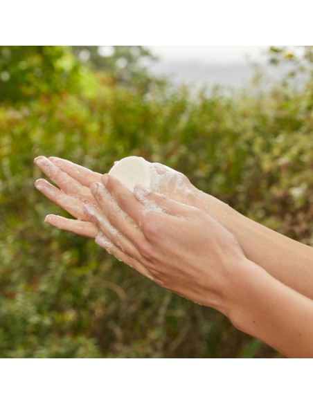 CHAMPU SOLIDO EQUILIBRA Y REFRESCA LAVERA