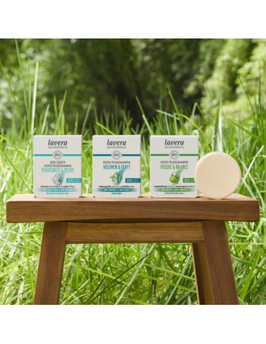 CHAMPU SOLIDO EQUILIBRA Y REFRESCA...