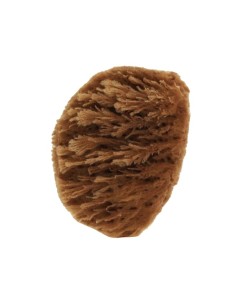 ESPONJA GRASS